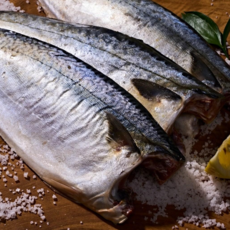 제주직송 프리미엄 제주 저염 고등어 왕특대 고등어 손질 고등어 "가격비교" 한정특가, 1세트, 대왕특대 230*1팩(총230g)