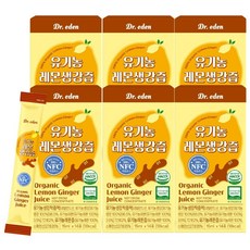 닥터이든 레몬생강즙 NFC착즙, 6박스, 210ml