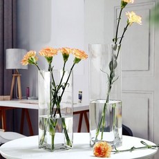 사각 유리 화병 10x10x25cm 병 화분 식물 용기 장식 인테리어 소품 원예 용품, [옵션]단품