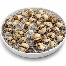 [한정초특가] 벌교 새꼬막 4차 선별 최상품 남해 당일조업 산지직송 디아머스, 1개, 12kg