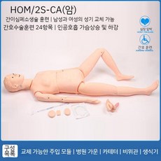 의료연습 모형 주사 간호 훈련 간호조무사 마네킹 시뮬레이터 인체, G. 여성 2S-C-A