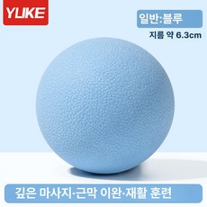 마사지볼 지압볼 어깨 필라테스 폼롤러 마사지 요가매트, 블루 TPE, 기본 모델명/품번