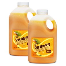 흥국에프앤비 흥국 FnB 오렌지농축액, 1.5L, 2개