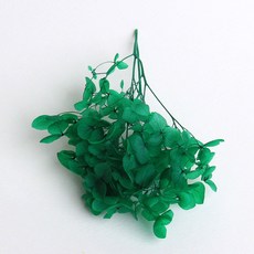 화연양화 프리저브드플라워 수국 1g 30색, 12 그린