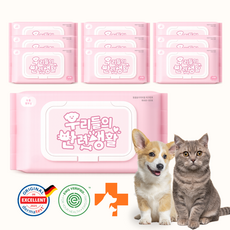 우반생 강아지 고양이 물티슈 올인원 반려동물 캡형 엠보싱 대용량 이경규 펫티슈, 80개입, 10개
