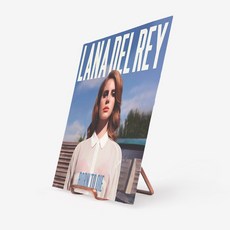 스테레오모노 바이닐페어 와이어스탠드 빈티지메탈 LP거치대, 브론즈_LH_M_BRONZE01