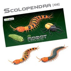 MN 지네 RC 무선원격조종