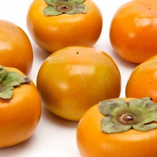 [새김천]제철 햇 단감 2kg/3kg/5kg 무료배송(가정용)