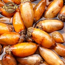 [실패없는 횟감용 손질 미더덕] 남해안 국산 생물 손질 미더덕 깐미더덕 손질한 미더덕회 생물, 1개, 품질 횟감용 손질 미더덕 400g