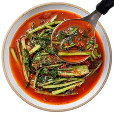 어사김치 전라도 열무 얼갈이 물김치, 1개, 1kg