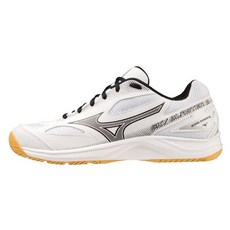 Mizuno 美津濃 SKY BLASTER 男羽球鞋 排球鞋 桌球鞋 寬楦 71GA234521