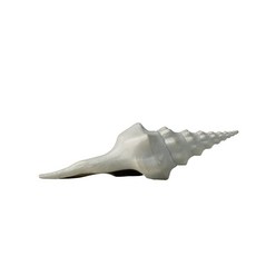 TUMZUO 海螺(A款) 高溫著色 全黃銅手工打造 銅雕 居家裝飾 收藏 送禮 擺設, 1個