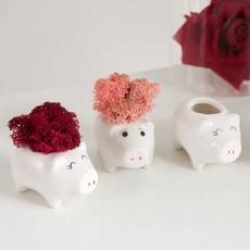 [3+1] 도자기 화분 돼지 5x3cm (2개입) 조화꽃 전용 다육 인테리어 장식 소품 원예 용품 가드닝, 화이트