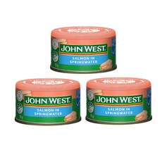 존 웨스트 살몬 연어 스프링워터 John West Salmon In Springwater, 3개, 95g