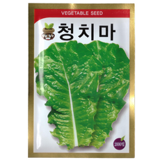 동원 청치마 상추 (청상추) 씨앗 2000립, 2개