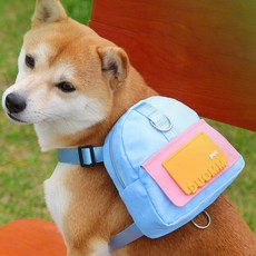 PET 산책 강아지 가방 리드줄 하네스 유치원[포미런], 1개, 상세페이지 참조