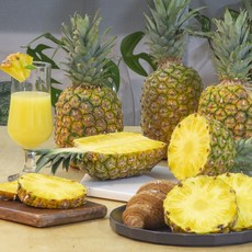 골드 파인애플 중과 1.2kg - 12kg내외, 1개, 1.2kg / 1입