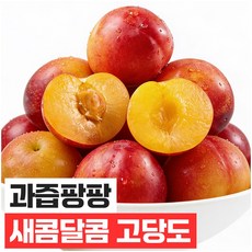 푸드지 산지직송 새콤달콤 자두, 1개, 2kg