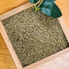 영원농산 25년산 중국산 수입 차조 좁쌀 청차조, 1개, 1kg