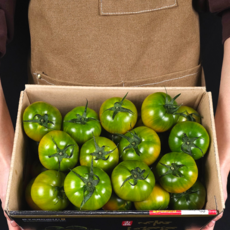 [반짝특가] 하루50박스 고당도 대저토마토, 1박스, 2.5kg