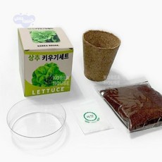 굳초이스 상추 키우기 세트