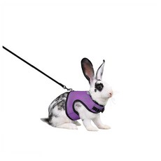 토끼 토끼용 기니피그 목줄 산책 친칠라 용품 다람쥐 몸줄, 블랙, 1개