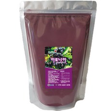해남농수산 눈건강 아로니아분말 농축분말 추출물, 500g, 1개
