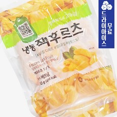 냉동 잭 후르츠 (씨제거), 1개, 500g