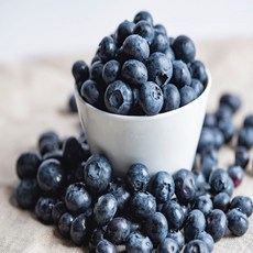 노씨고집 직수입 정품 칠레산 생 블루베리, 2개, 18mm 왕특 125g