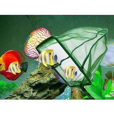 셀엔드 작은 뜰채 주방용품 수조청소용품, 1세트