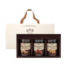 오하루 자연가득 메이플 시나몬 정과 3종 피칸 캐슈넛 호두, 1개, 480g