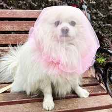 강아지 페이스커버 취식금지 해충 진드기 방지 얼굴망, 1개, 핑크