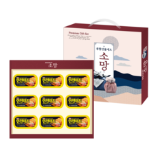 [명절 선물세트 특가] 소망 프리미엄 9P 선물세트 1호 / 런천 미트 햄 세트, 1개