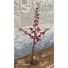 冬青果實 花材 攝影擺飾, 1個