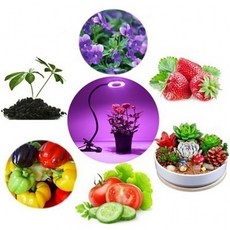 식물조명 USB 5v 식물성장 10W LED 자바라 링 원형, ☘옵션명_ USB 5v 식물성장 10W LED 자바라, 무옵션♟_, 1