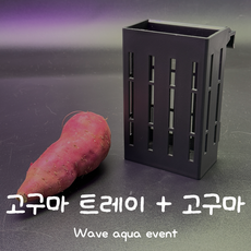 고구마 트레이 + 고구마 세트, 1개