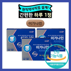 이가탄탄 인사돌 플러스 정품 칫솔 증정 이가나인 치아탄탄 식약처 인증, 1세트, 60정