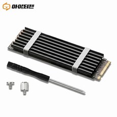 M.2 SSD 방열판 NVME 히트싱크 히트파이프 기본형 P201, 블랙