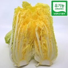 국산 유기농 알배기 배추, 1개, 2kg