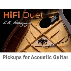 LR BAGGS HIFI DUET 最高階雙系統木吉他拾音器 全新品公司貨