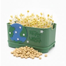 사각시루 지구 콩나물 키우키 세트 국산콩 40g 콩나물 기르기 재배기, 1세트