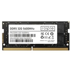 노트북용 ROIPLE DDR5 PC5-44800 [32GB] (5600), 1개, Roiple DDR5 5600MHz 32G