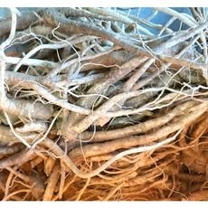 도라지 국내산 약도라지 흙 세척 햇도라지 건도라지 깐 통도라지 국내산 채도라지 흙나물도라지, 1박스, (옵션6-2) 흙약도라지<실속>=1kg