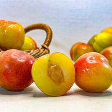 기타 하우스 자두 500g 특대과 (5-9과)