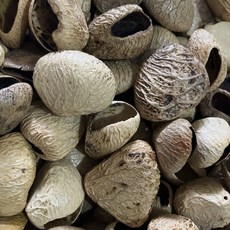 臺灣出貨 印尼果殻風鈴diy黑果材料包自製果殻音手工製作手搖鈴pangjii果殻 0OUT, 印尼黑果殼Pangi50個+送麻繩91米, 1個