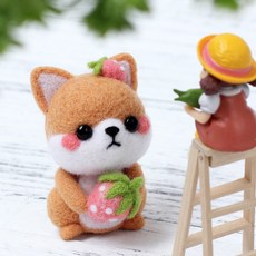 치프몰 양모펠트 DIY 패키지 세트, 1개
