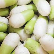 물가안정 금메달농수산 제주도 세척 월동무, 1개, 3kg 2~4수내외