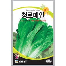 세계종묘 청로메인 씨앗 2000립, 1개