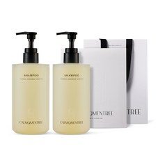 캄모멘트리 떼르말 헤드스파 정수리 샴푸 더블 세트 (500mlx2), 떼르말 샴푸 기프트 세트, 1세트