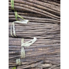 25년 햇 우엉 / 국내산 우엉, 1박스, 실속형 (차용-굵음) 2KG